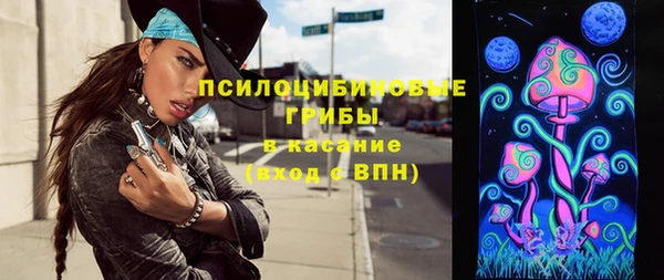 бошки Верхний Тагил