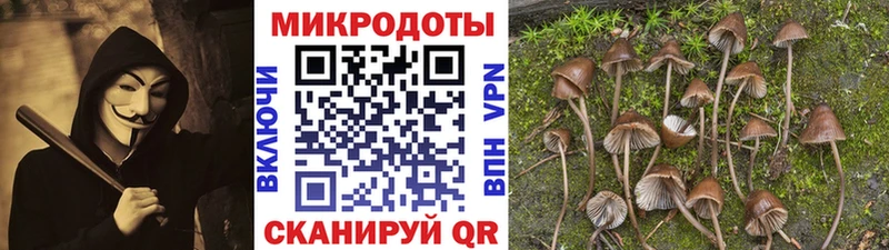 Галлюциногенные грибы мухоморы Купить Гдов